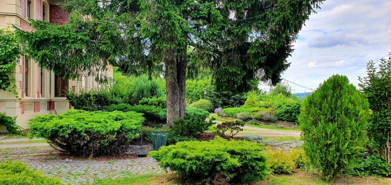 Villa Kliche Przerzeczyn-Zdroj Kültér fotó