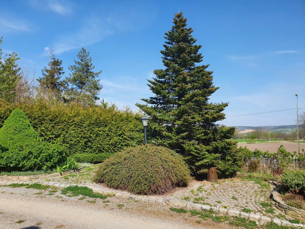 Villa Kliche Przerzeczyn-Zdroj Kültér fotó