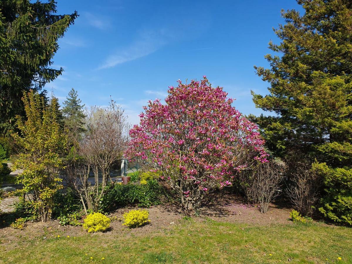 Villa Kliche Przerzeczyn-Zdroj Kültér fotó
